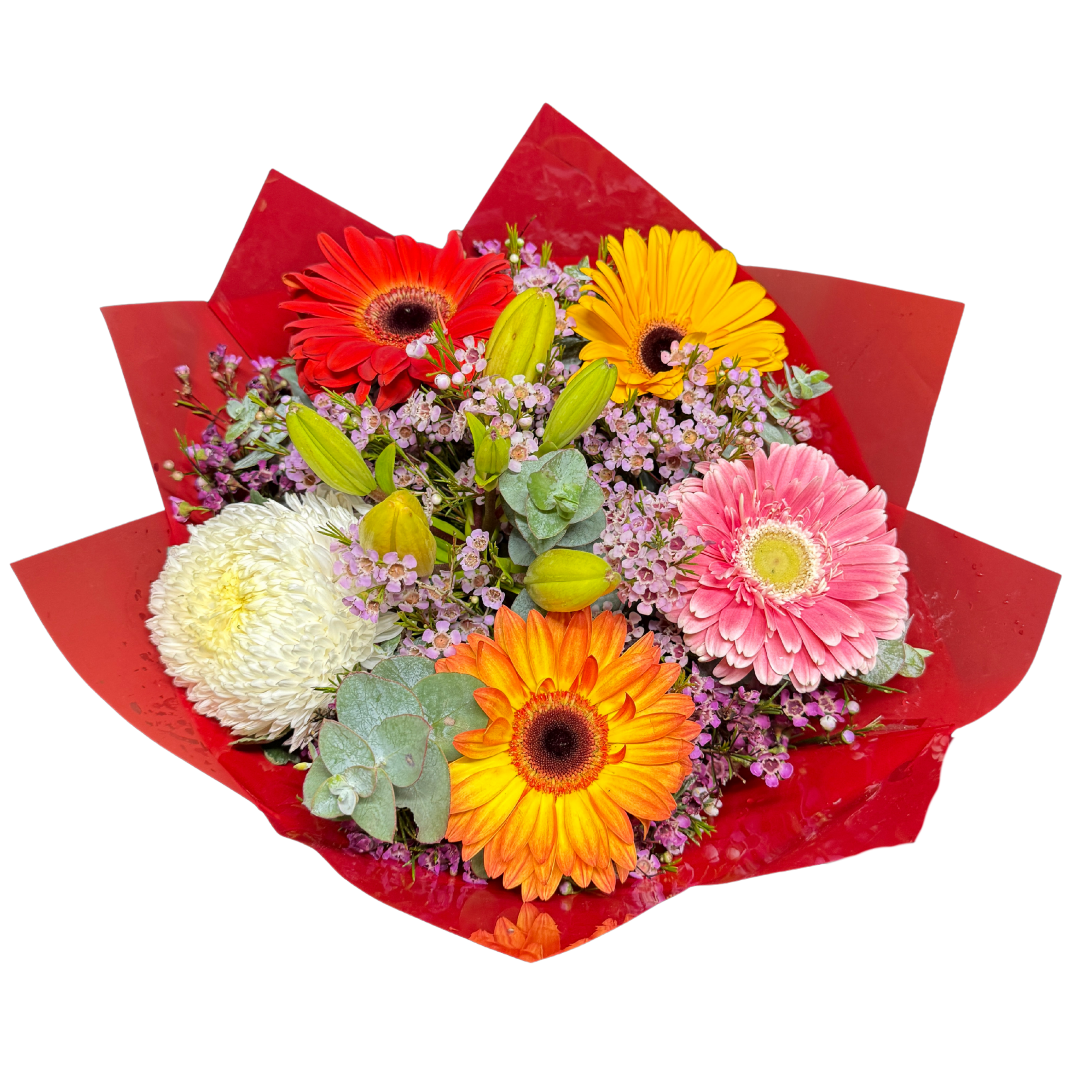 Large Colorful Gerbera Bouquet