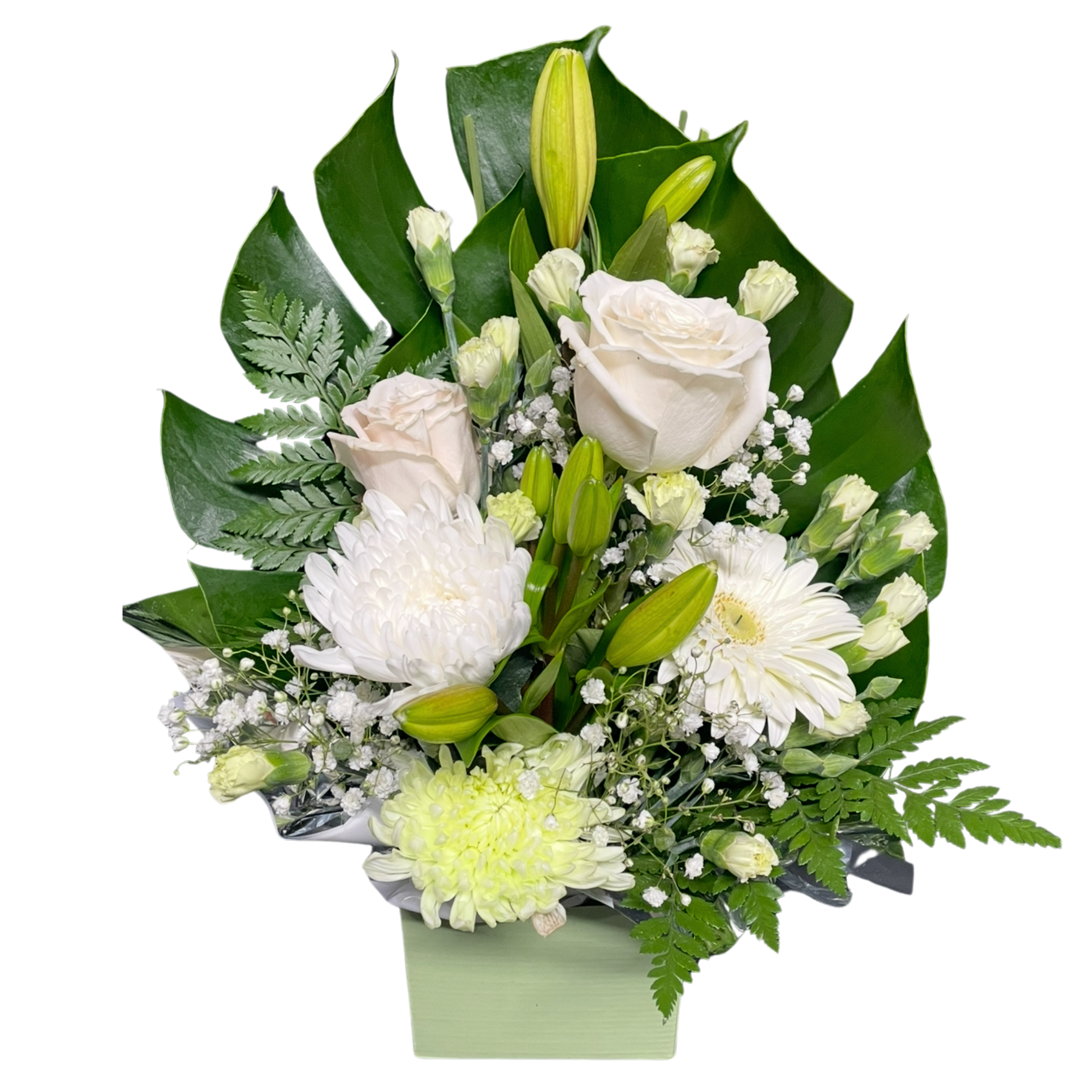 White Box Arrangement