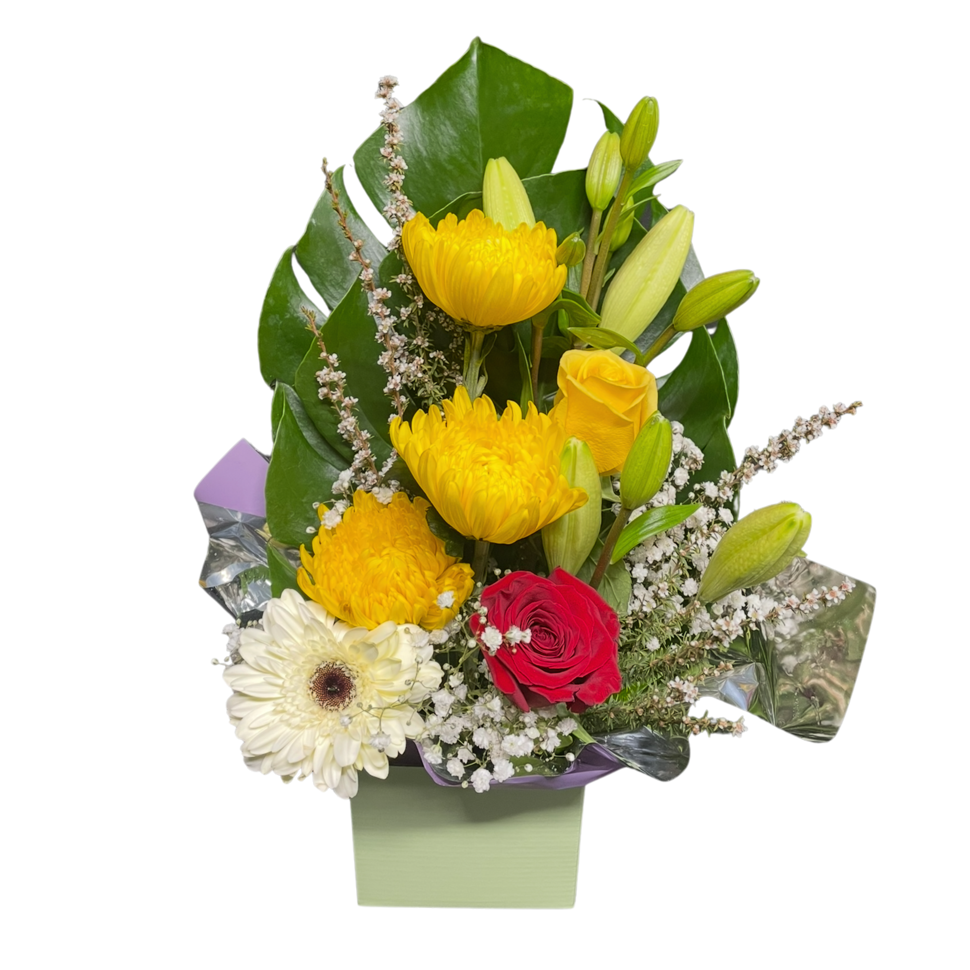 Yellow Box Arrangement